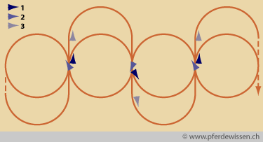 schlangenachten (6K)