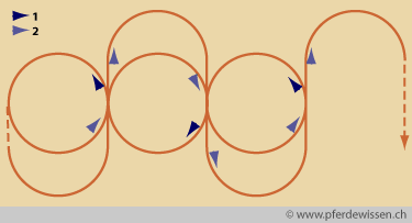 schlangenvolten2 (5K)