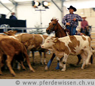 Westernreiten