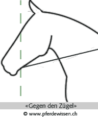 gegenzuegel (3K)