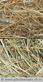 Der Unterschied zwischen Stroh und Heu