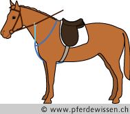 martingalhandhoch (29K)