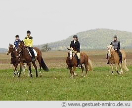 Wann kommt der erste Ausritt?