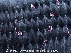 Wie nennt man diese Frisur?