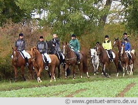 Wie viel Abstand muss sein?