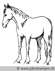 Schenkelweichen (7K)