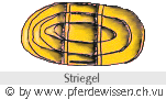 Striegel