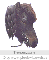 Trensenzaum