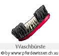 Waschbürste