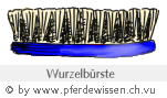 Wurzelbürste