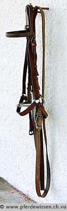 Korrekt aufgehängter Zaum