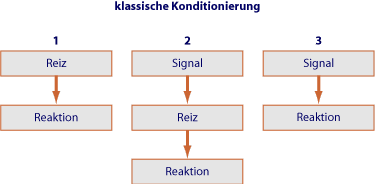 klassischekond (3K)